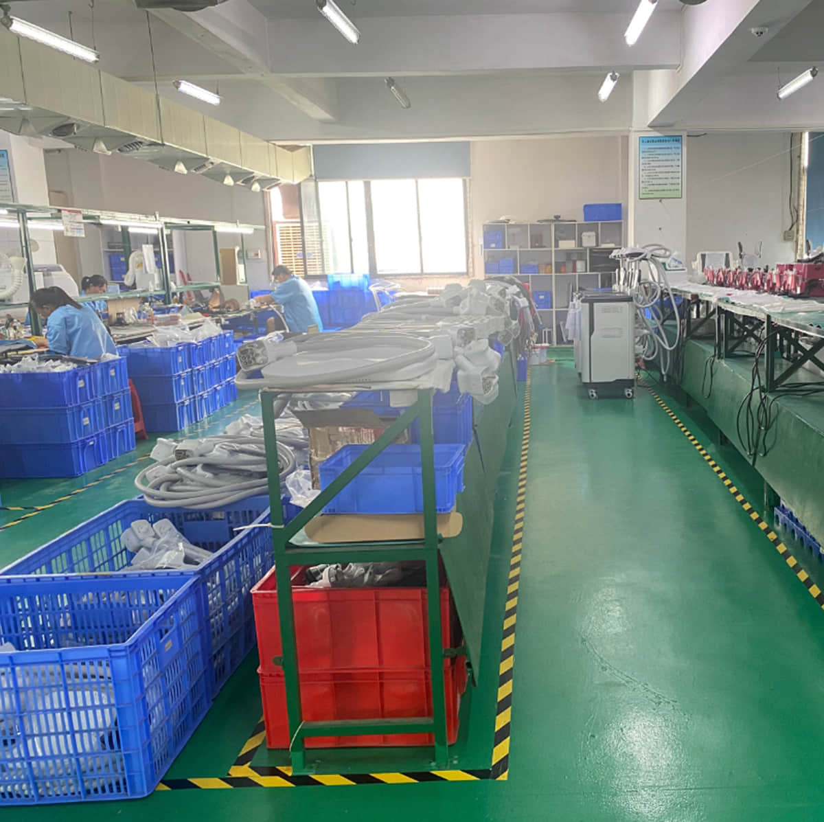 Factory & Global Distribution